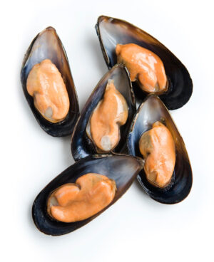 58e86f_1d26a6218a89429ebc5477c9ff2d425d_mv2.jpg Half Shell Mussels Frozen