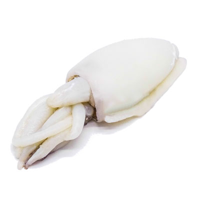 Frozen Cuttle Fish Whole Cleaned Cuttle Fish Whole Cleaned