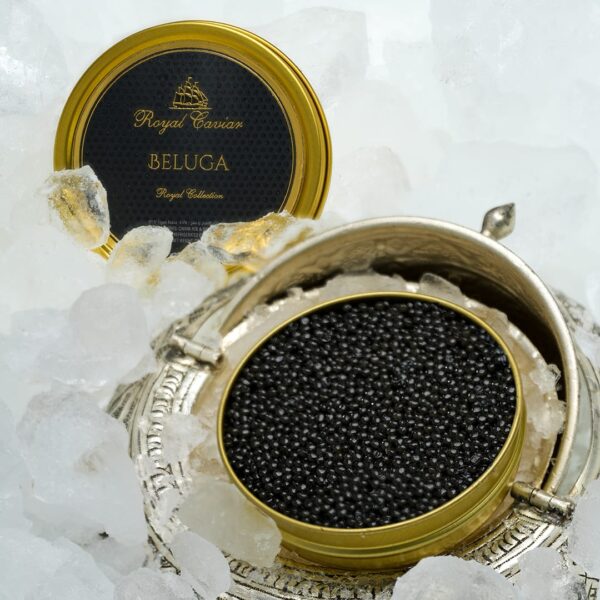 beluga-ice BELUGA CAVIAR