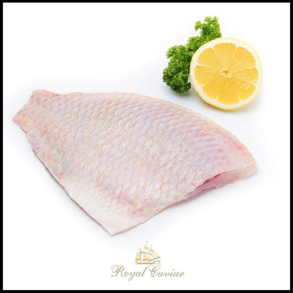 royal_caviar_uae_Asian_Seabass_fillet3-1.jpg Baramundi Fillet Skin On Frozen