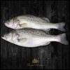royal_caviar_uae_Asian_Seabass_fillet4-1.jpg Baramundi Fillet Skin On Frozen