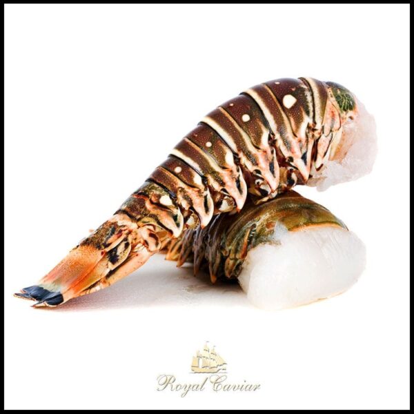 Lobster Tail Frozen