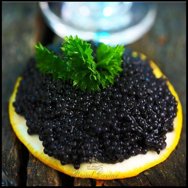 royal_caviar_uae_product_lumpfish_roe3-1.jpg Black Lumpfish Roe