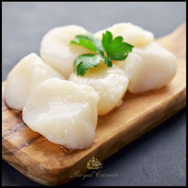 royal_caviar_uae_scallop_meat2.jpg Scallop Meat