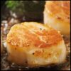 royal_caviar_uae_scallop_meat4.jpg Scallop Meat
