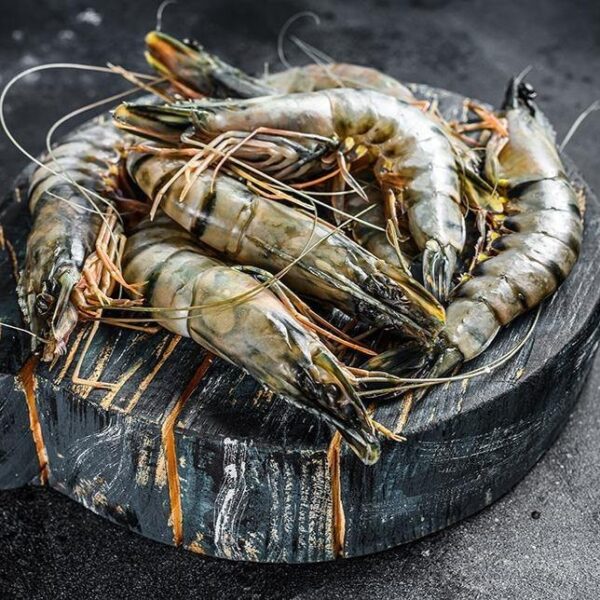 Fresh Shrimps Black Tiger 10/20