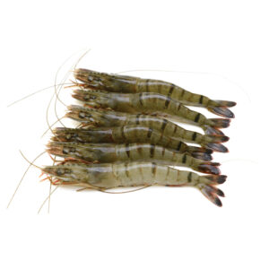 Fresh Shrimps Black Tiger 20/30