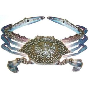 Fresh Crab Blue 100-150gms