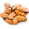 Mussel Meat Frozen