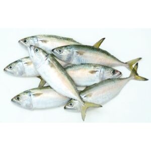 Fresh Indian Mackerel Whole Cleaned 100-200gms