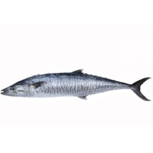 Fresh King Fish Whole Cleaned 2-6kgs