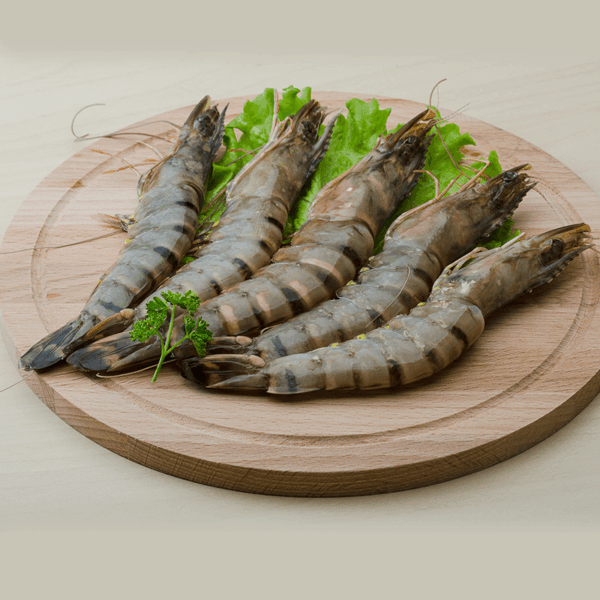 Shrimps Head On Shell On Frozen - Large