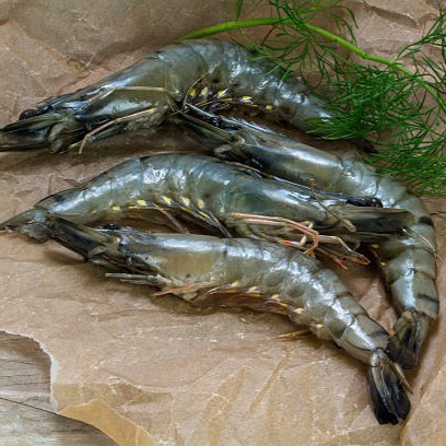 Shrimps Head On Shell On Frozen - Medium